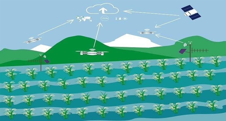 Smart farming in agriculture