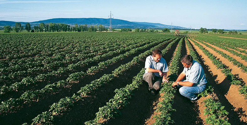 Image_shows_Bayer_and_Ecospray_founders_in_a_field_after_signing_distribution_agreement