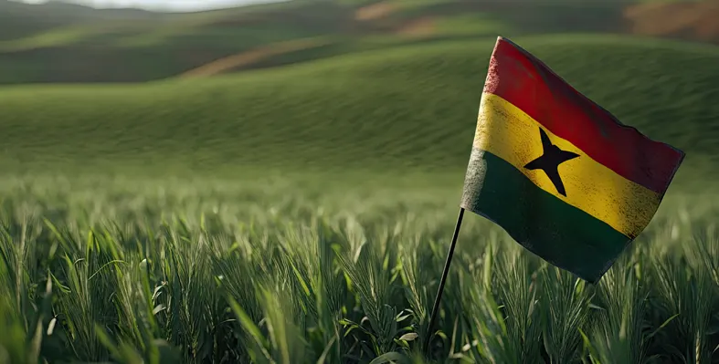 Ghana flag in field