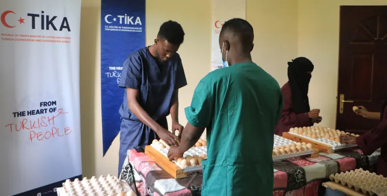 workers sorting out chicken eggs 