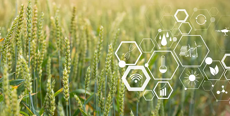 Image_of_agrifood