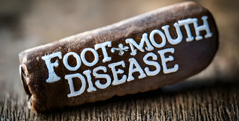 Image_of_FMD