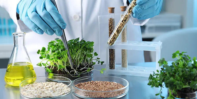 Image_of_GMO