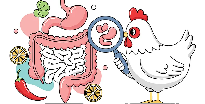 Image_of_guthealth