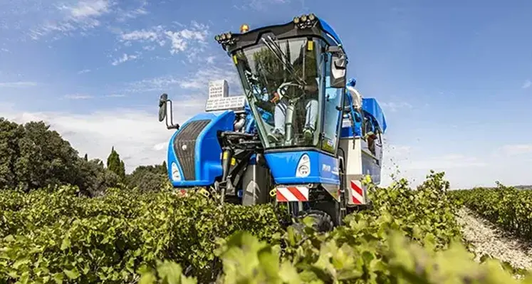 Braud_ grape_harvesting