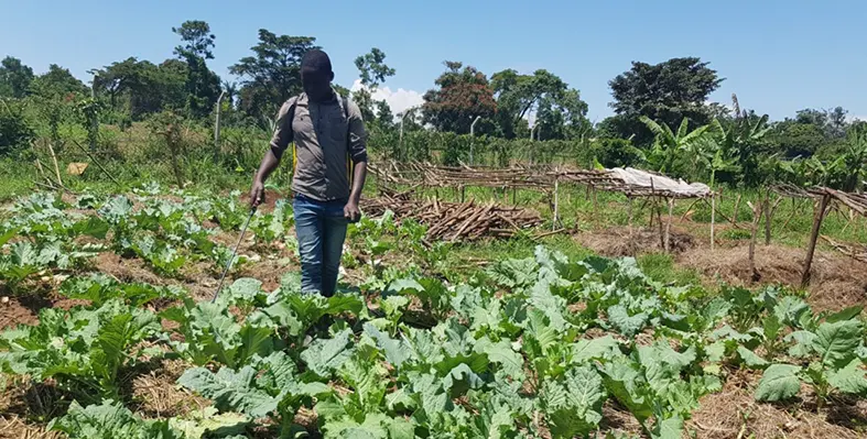 image_signifies_farmers_benefitting_from_the_agriculture_being_set_up_by_Salesian_Missionaries_in_Uganda