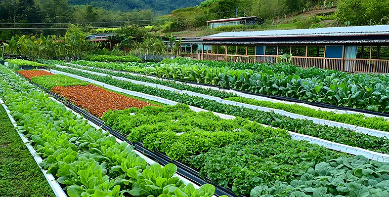 Regenerative_agriculture