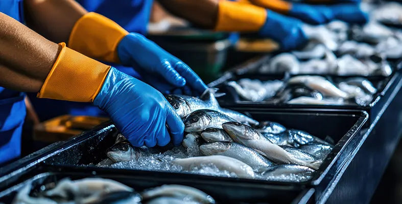 Image_of_fish