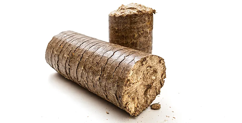 Cow dung has long been used as a fuel booster when mixed with firewood. Image_of_cow_dung_briquettes