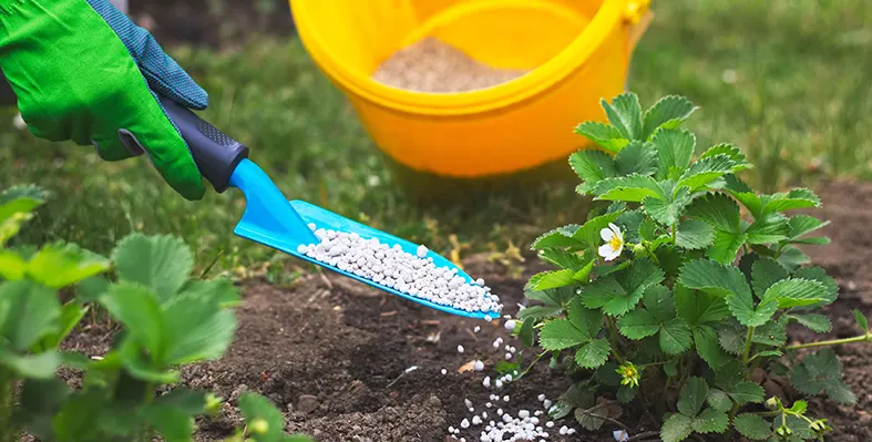 Image_of_fertilizer