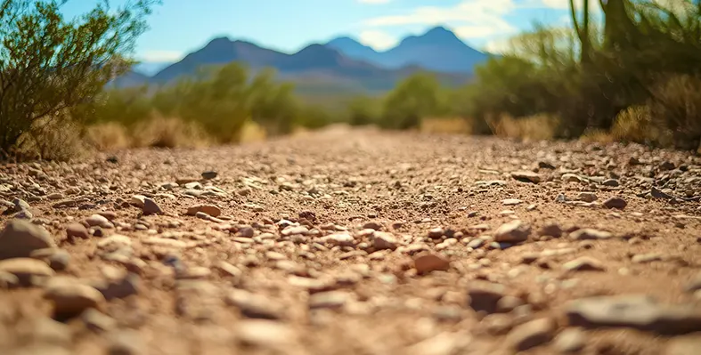 Image_of_dryland