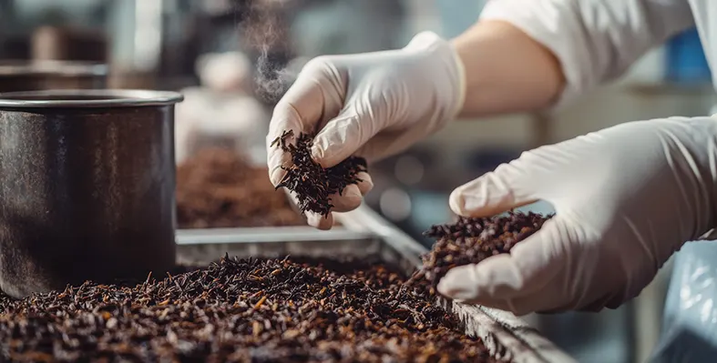 Image_of_tea_production