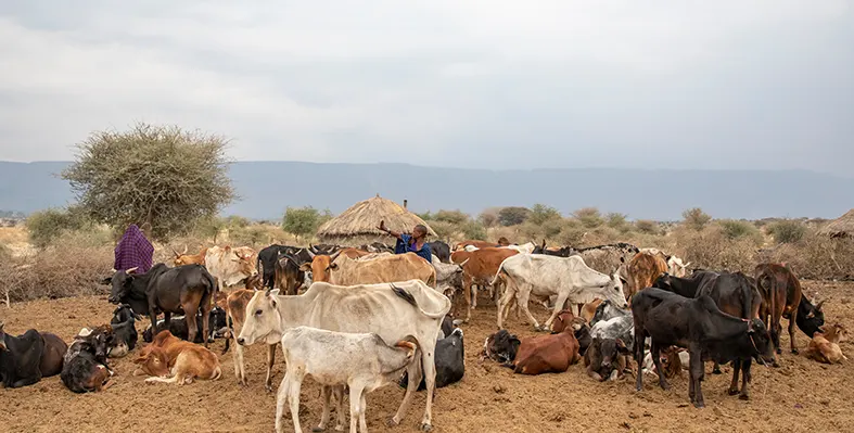 Prioritise_women_in_development