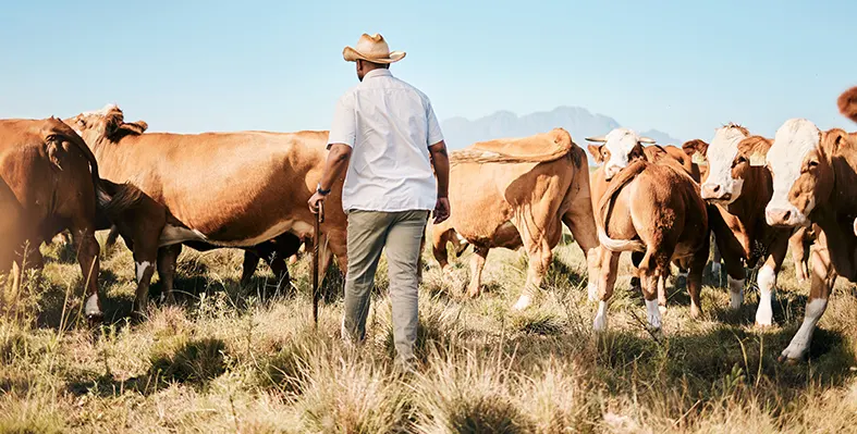 Tanzania_opens_doors_for_dairy_investors