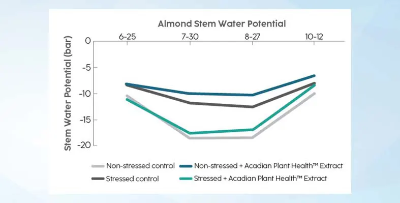 Almond stem water potential 