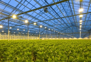 Sustainable Indoor Farming