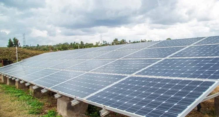 Renewable energy for agri-businesses 