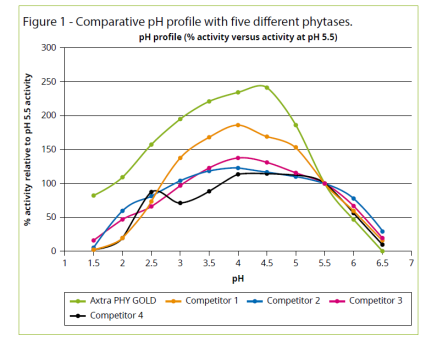 Comp graph phytase