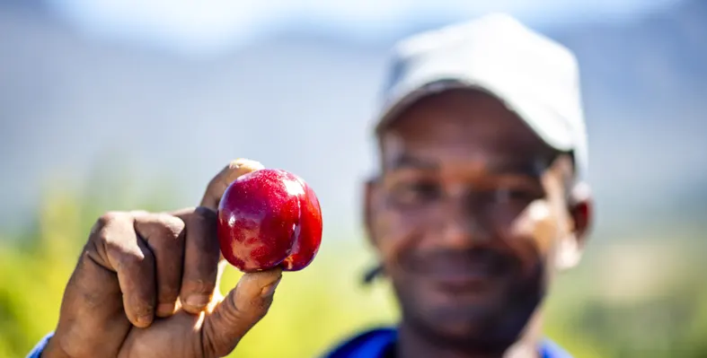 Image_shows_African_man_holding_stone_fruit