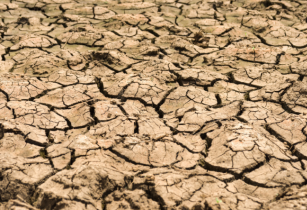 Drought puts 2.1 million Kenyans at risk of starvation