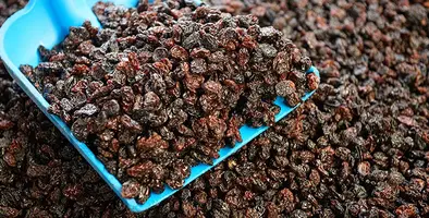 image_shows_raisins_in_a_pan_indicating_a_continued_progress_in_the_South_African_sector