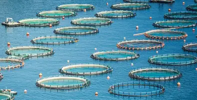 Image_of_fish_farming