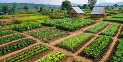 Image_of_crop_varieties