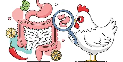 Image_of_guthealth