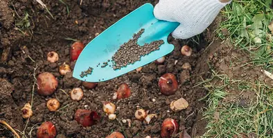Image_of_fertiliser