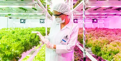 Image_of_greenhouse