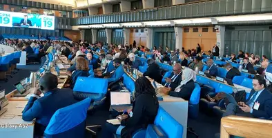 image_shows_attendees_at_the_19th_Phytosanitary_Measures_Meeting
