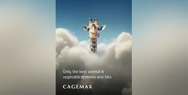 Image_of_Cagemax