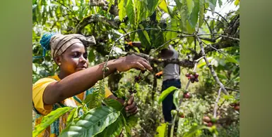 Image_of_farmers
