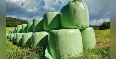 DLG_Spotlight_Forage_production