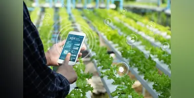 Image_of_AI_powered_fertigation
