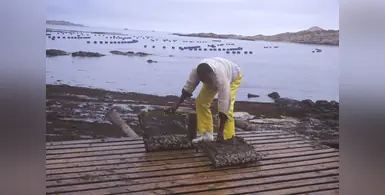 Image_of_fisheries_in_Africa