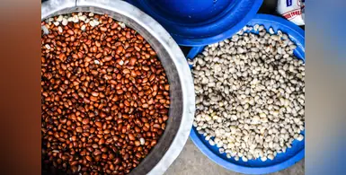 Image_of_Malawi_flour 