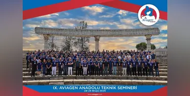 Image_of_Aviagen_Anadolu 