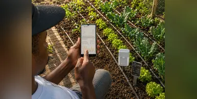 Image_of_IoT-native_precision_agriculture_model