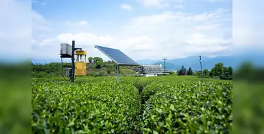 Image_of_Solar_powered_irrigation 