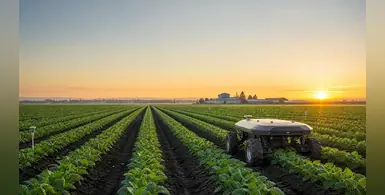 Image_of_agritech