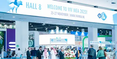 VIV_MEA_2025