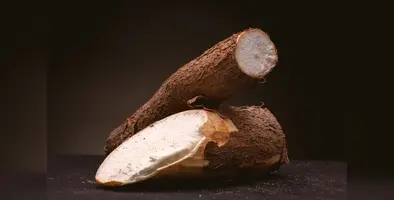 cassava_farming