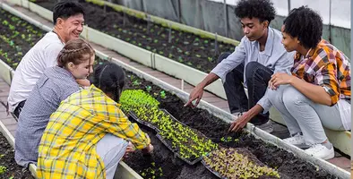 Africa’s agri-ed