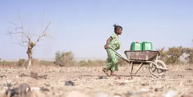 Drought-affected land