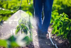 image_shows_fertiliser_being_applied_to_farm_indicating_training_programme_on_fertiliser_production_in_eritrea