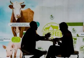 EuroTier 2022: The venue for ‘future of animal husbandry’