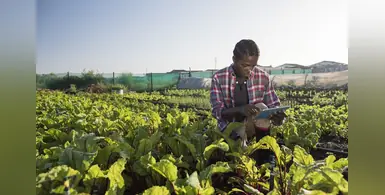 Farmer_using_AI