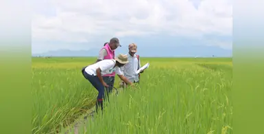 Farmers_in_the_field