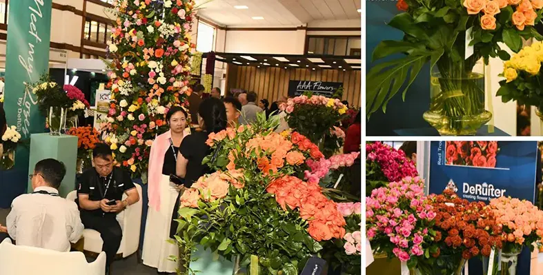 image_shows_event_poster_of_IFTEX_2025